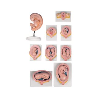 Graviditets modell set 9 modeller