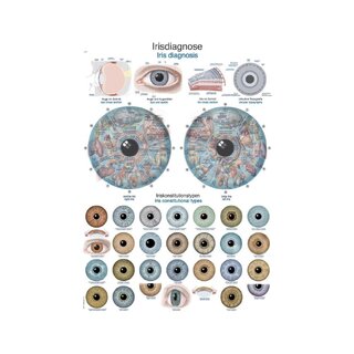 Diagram Irisdiagnos anatomiplansch 50x70cm